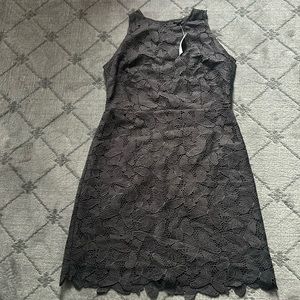 NWT Ann Taylor dress